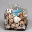Unscented Sea Shell Bag